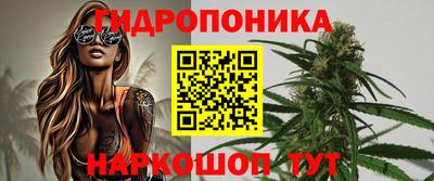 гашик Аргун