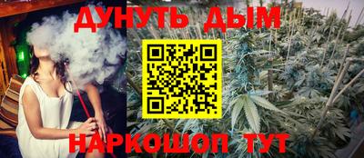 гашик Аргун