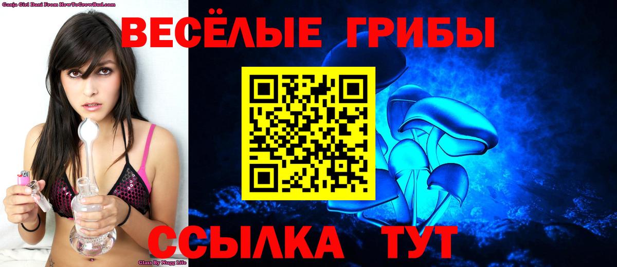 Псилоцибиновые грибы мицелий Большой Камень