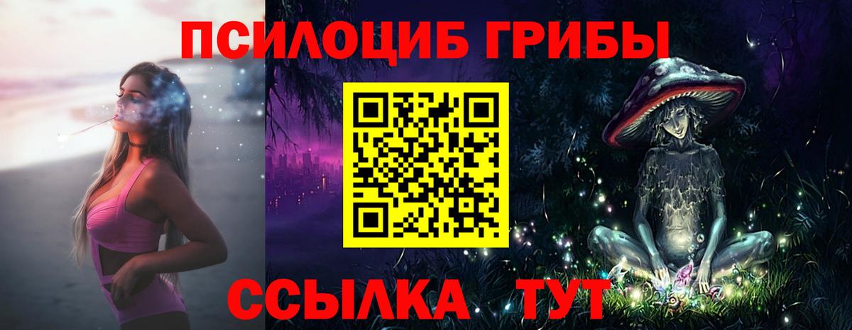 Псилоцибиновые грибы GOLDEN TEACHER  Галлюциногенные грибы Psilocybine cubensis  Вход с VPN  Большой Камень 